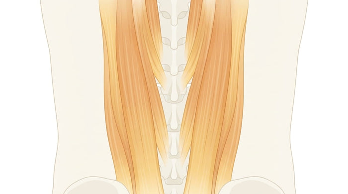 Paraspinal Release During Decompression